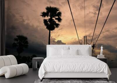 Silhouette electricity post with palm tree on clouds background in evening time. Wall mural