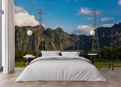 Electrical power lines  Wall mural