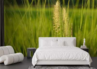 grass on a green background Wall mural