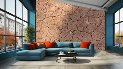 craked earth closeup for natural abstract background Wall mural