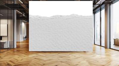 torn white pages with uneven texture edges. set of ripped black paper sheets png isolated on transparent background. document or newspaper mockup. Wall mural