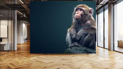 A young monkey sits on a rock, gazing off into the distance, contemplating its surroundings. Wall mural