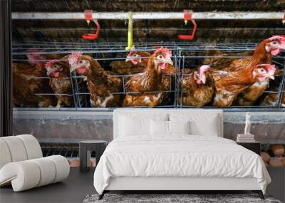 (Blur some of chicken) Multilevel production line conveyor production line of chicken eggs of a poultry farm, Layer Farm housing, Agriculture technological equipment. Limited depth of field. Wall mural