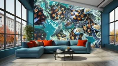 Sea turtle swims under water on pond in aquarium. Wall mural