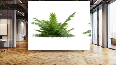 Group of fern leaves  on transparent background 3d rendering png Wall mural