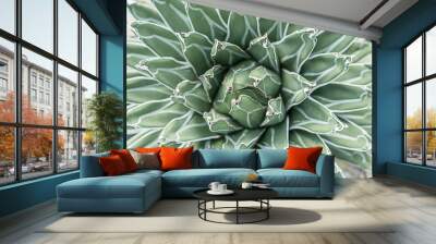 Cactus green full background Wall mural