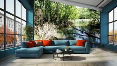 River in the forest green tree Wall mural