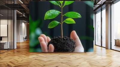 A hand holds a young green plant, symbolizing growth and care in a natural setting with vibrant foliage in the background. Wall mural