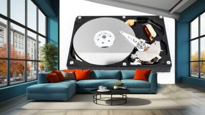 harddisk Wall mural