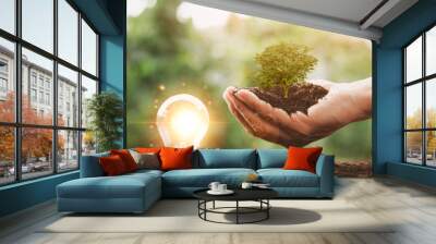 protecting the environment alternative energy Sustainable renewable energy sources Green energy innovation and environmentally friendly energy technology,tree is in the hand and the bulb is in soil. Wall mural