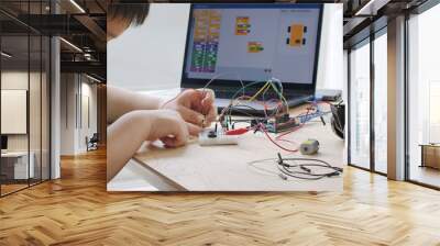 Asia home school young small kid happy smile self study online lesson excited make AI circuit toy. STEM STEAM digital scratch class on laptop screen for active children play arduino enjoy fun hobby. Wall mural