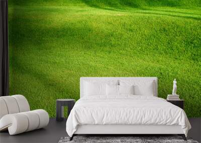 Beautiful green lawn background and texture. Fresh green grass  Wall mural