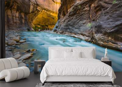 zion narrow  with  vergin river in Zion National park,Utah,usa.
 Wall mural