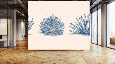 agave retro sketch illustration. Tequila plant ingredient vector Wall mural