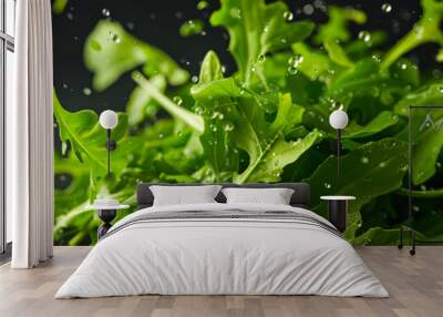 A close-up of young green arugula leaves with dew droplets on them. The leaves are fresh and bright, and the drops of water give the image a sense of movement and life. A natural organic product Wall mural