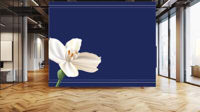 Paperwhite Lily Card Wall mural