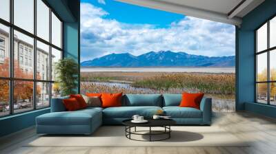 Beautiful landscape of a river in tall meadow grass and mountains on the horizon at the Bear River Migratory bird refuge in Utah, United States. Wall mural