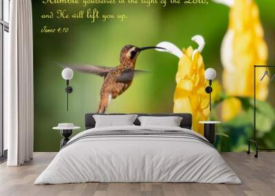 Inspirational, encouraging and uplifting Bible Verses printed on beautiful bird photography. Devotions. Encouragement and nature. Wall mural