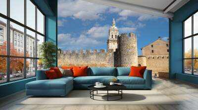 The urban landscape of El Burgo de Osma with the cathedral tower in the background, Soria, Spain. Wall mural