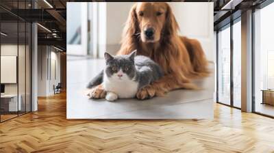 Golden Hound and British short-haired cat Wall mural