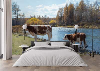 The Cattle on the farm Wall mural