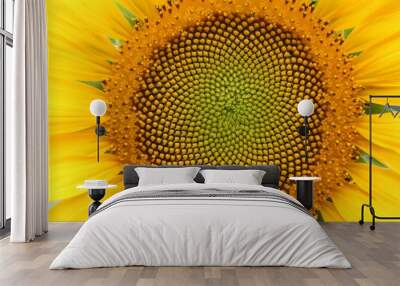 Sunflower Wall mural