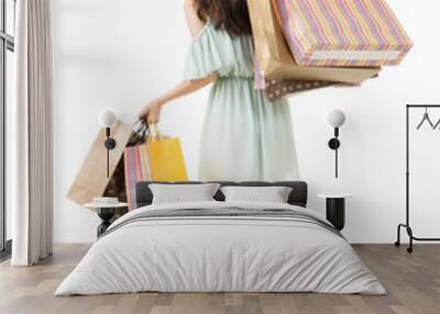 rear view of asian shopping woman Wall mural