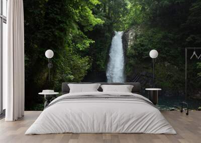 waterfall in the forest Wall mural