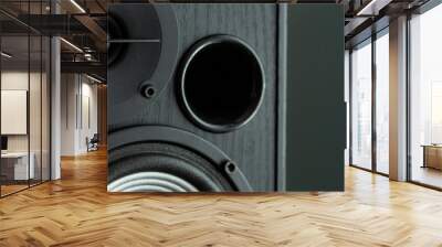 Acoustic sound speakers on black background. Multimedia, audio and sound concept. copy space. Wall mural