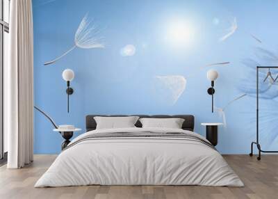 flying dandelion seeds on a blue background Wall mural