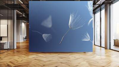 flying dandelion seeds on a blue background Wall mural