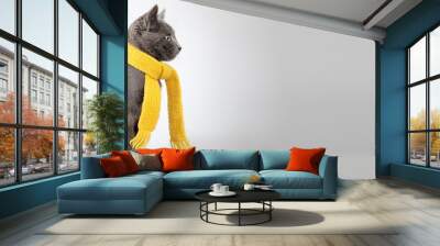 gray kitten in yellow scarf on a white background, smoky cat in Wall mural