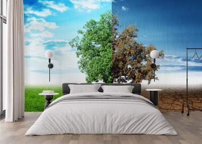 Two sides tree Wall mural