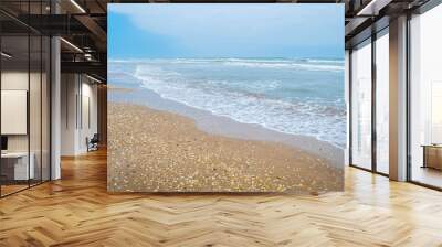 A beautiful soft and fine sandy beach along the gulf coast of South Padre Island, Texas Wall mural