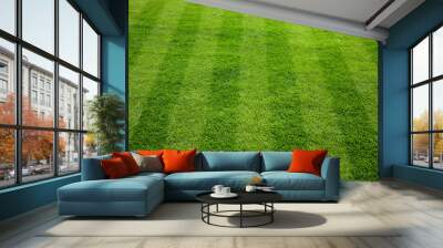 Green grass cuttings on the football field. Wall mural