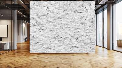 Grey color texture pattern abstract background can be use as wall paper Wall mural