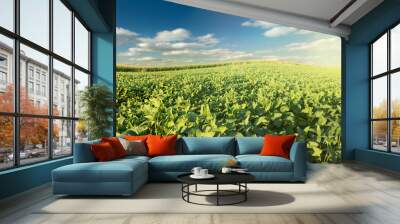 Green growing soybeans plant Wall mural