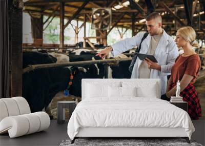 A vet points to a sick cow. Wall mural