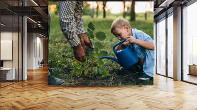 grandfather and his grandson planting tree Wall mural