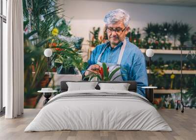 middle aged gray haired man watering plants in flower shop Wall mural