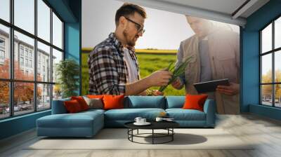 Two farmers standing in the field examining crops. Wall mural