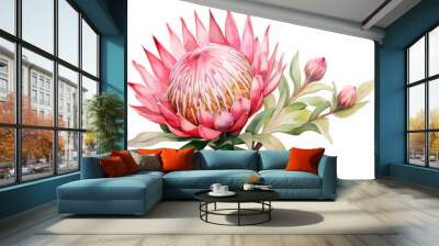 Pink watercolour protea Christmas flower illustration on white background. Floral blossom holiday concept Wall mural