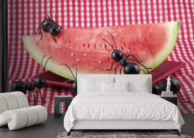 Black Ants Eating Watermelon Wall mural