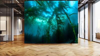 California Kelp Bed Wall mural