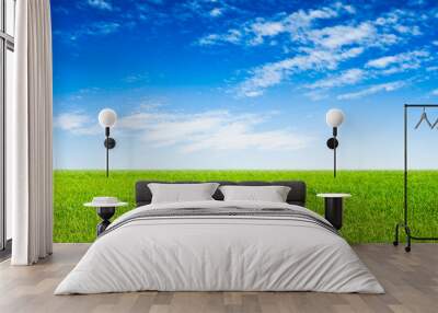 blue sky and green grass scene Wall mural