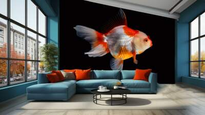 goldfish isolated on black background. Wall mural