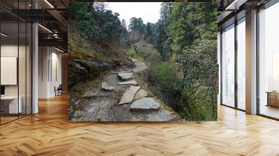 Natural landscape of rocky trail steps and trekking pathway among green forest jungle park Wall mural