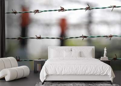 barbed wire in black and white Wall mural