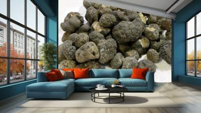 big black truffle mushrooms very valuable Wall mural