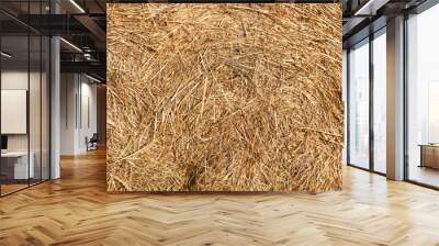 dry hay and straw background for a rustic agricultural countryside backdrop Wall mural